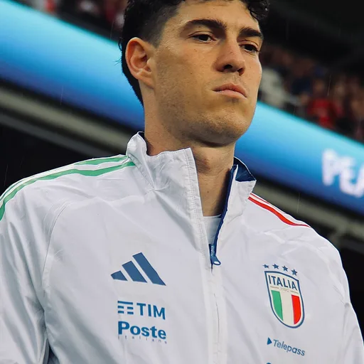 Photo de profil de Alessandro Bastoni