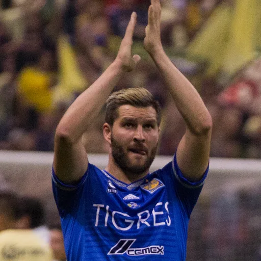Photo de profil de André-Pierre Gignac