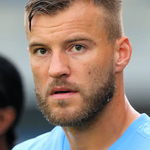Photo de profil de Andriy Yarmolenko