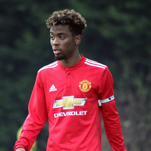 Photo de profil de Angel Gomes