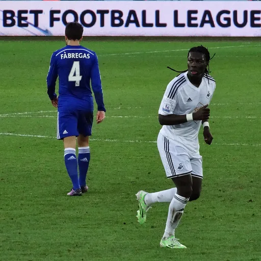 Photo de profil de Bafétimbi Gomis