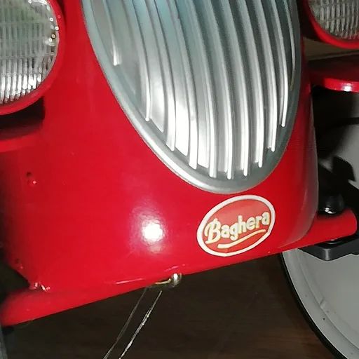 Photo de profil de Baghera