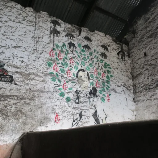 Photo de profil de Banksy