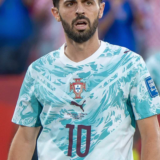 Photo de profil de Bernardo Silva
