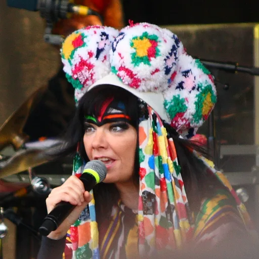 Photo de profil de Björk
