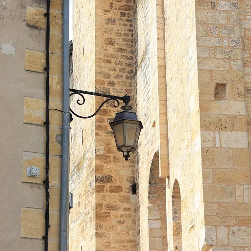 Photo de profil de Cyprien