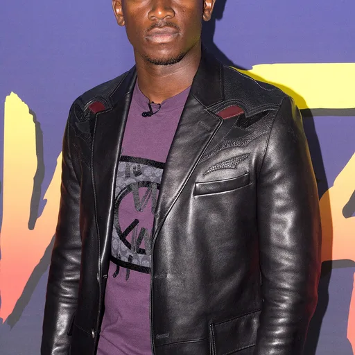 Photo de profil de Damson Idris