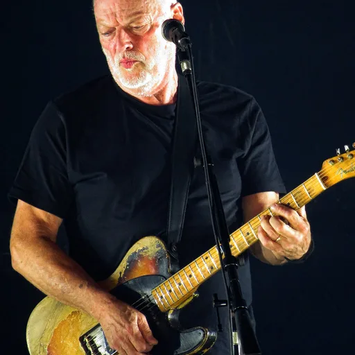 Photo de profil de David Gilmour