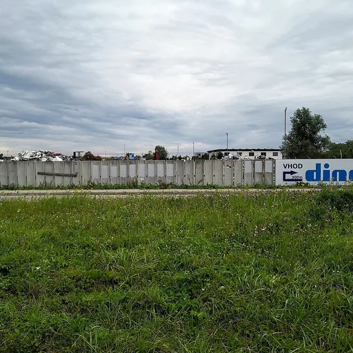 Photo de profil de Dinos