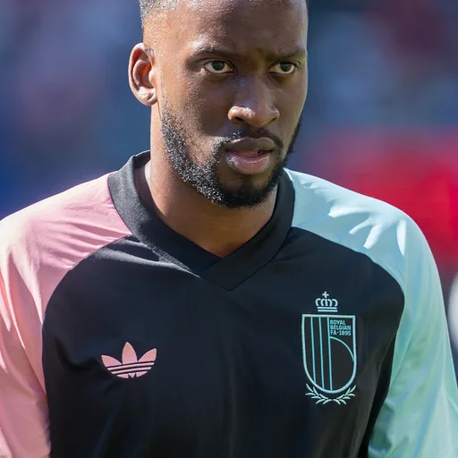 Photo de profil de Dodi Lukebakio