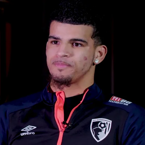 Photo de profil de Dominic Solanke