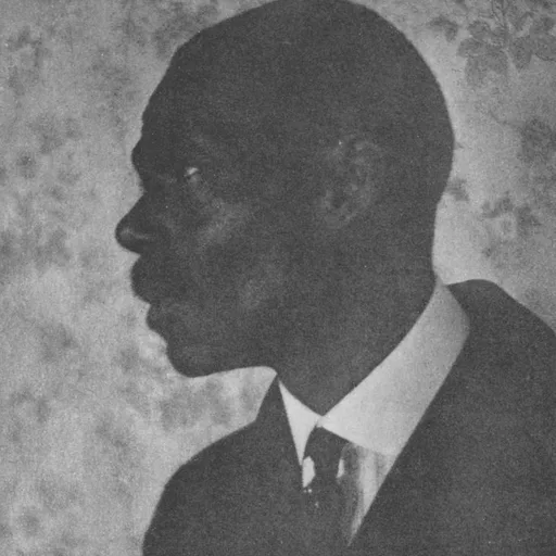 Photo de profil de Dorothy Abbott