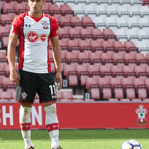 Photo de profil de Dušan Tadić