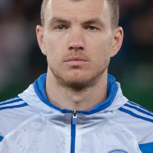 Photo de profil de Edin Džeko