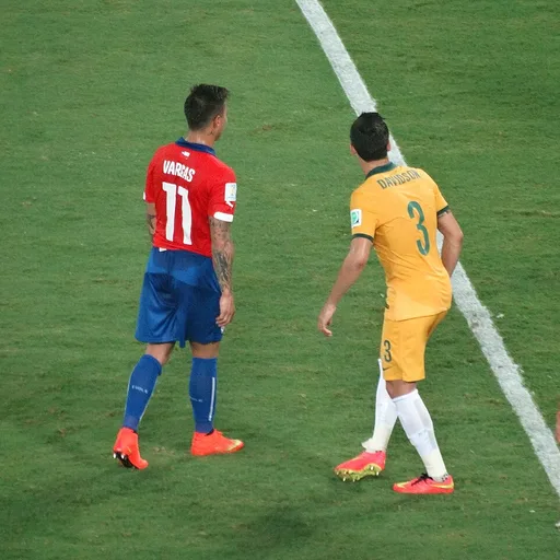 Photo de profil de Eduardo Vargas