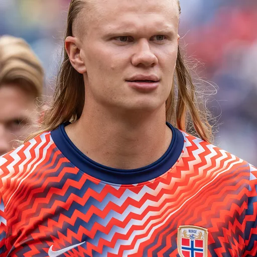 Photo de profil de Erling Haaland