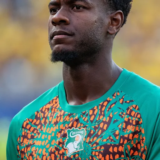 Photo de profil de Evan Ndicka