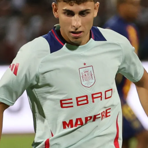 Photo de profil de Fermín López