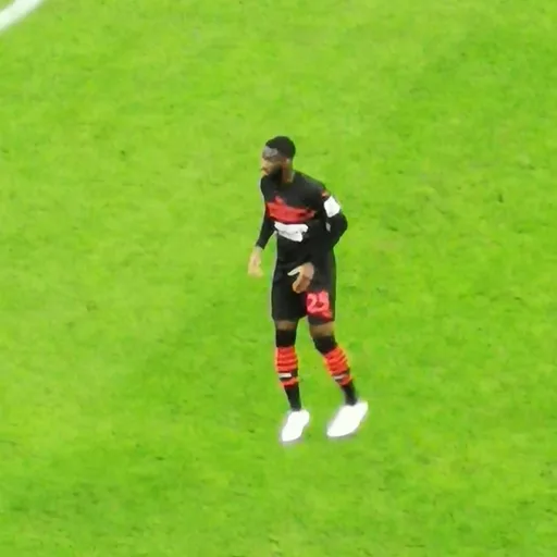 Photo de profil de Fikayo Tomori