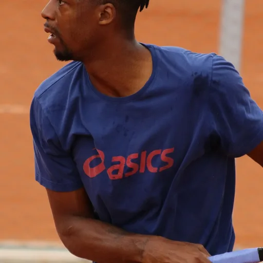 Photo de profil de Gaël Monfils