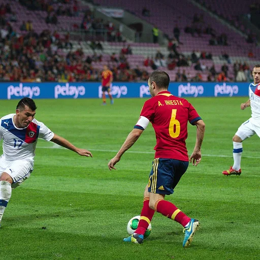 Photo de profil de Gary Medel