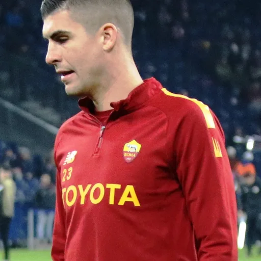 Photo de profil de Gianluca Mancini