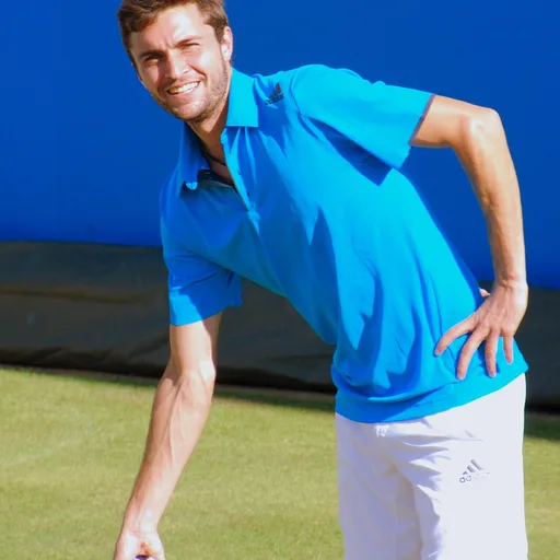 Photo de profil de Gilles Simon