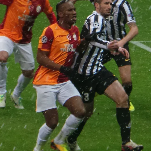 Photo de profil de Giorgio Chiellini