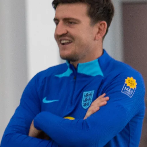 Photo de profil de Harry Maguire