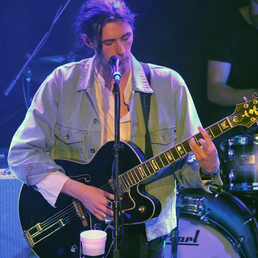 Photo de profil de Hozier