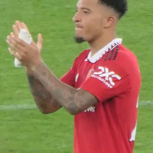 Photo de profil de Jadon Sancho