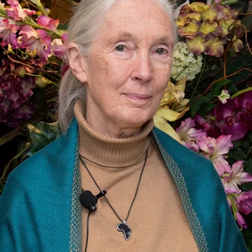 Photo de profil de Jane Goodall
