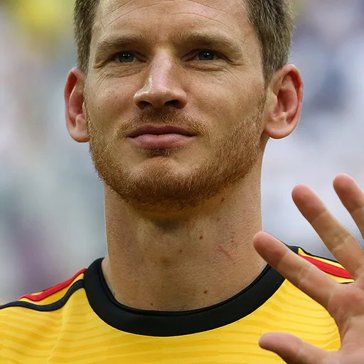 Photo de profil de Jan Vertonghen