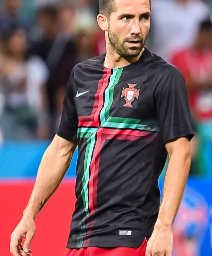 Photo de profil de João Moutinho