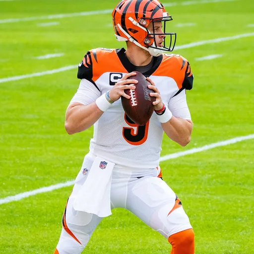 Photo de profil de Joe Burrow