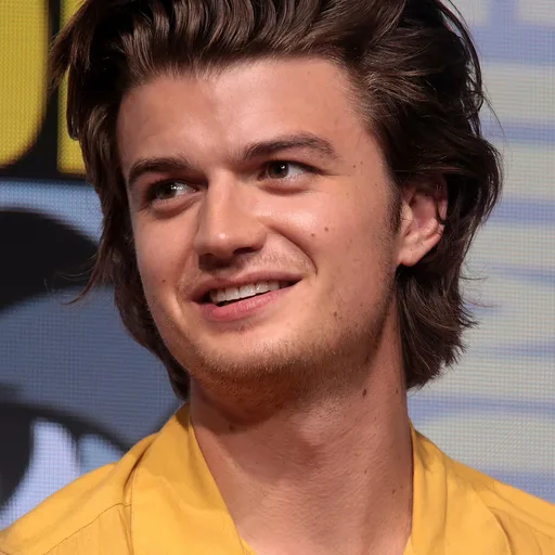 Photo de profil de Joe Keery