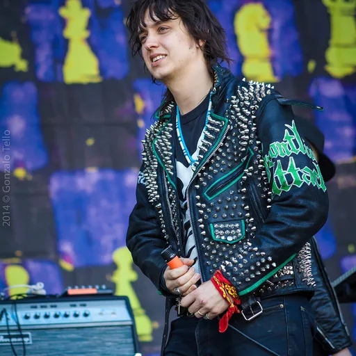 Photo de profil de Julian Casablancas