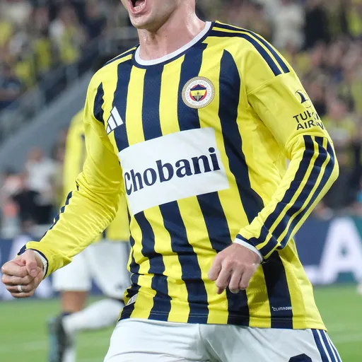 Photo de profil de Kerem Aktürkoğlu
