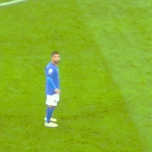 Photo de profil de Lorenzo Insigne