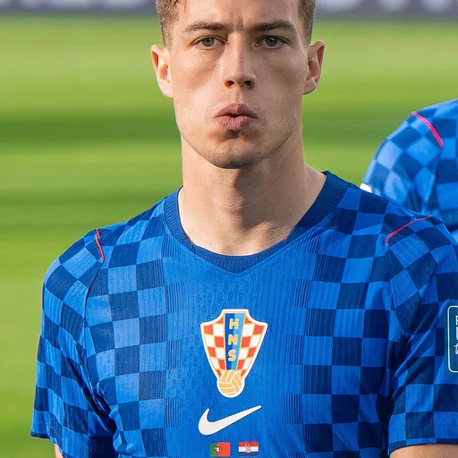 Photo de profil de Luka Sučić