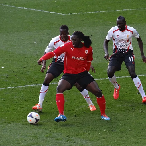 Photo de profil de Mamadou Sakho
