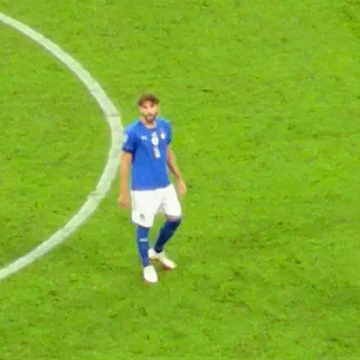 Photo de profil de Manuel Locatelli