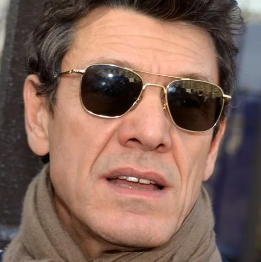 Photo de profil de Marc Lavoine