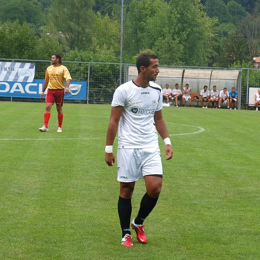 Photo de profil de Medhi Benatia