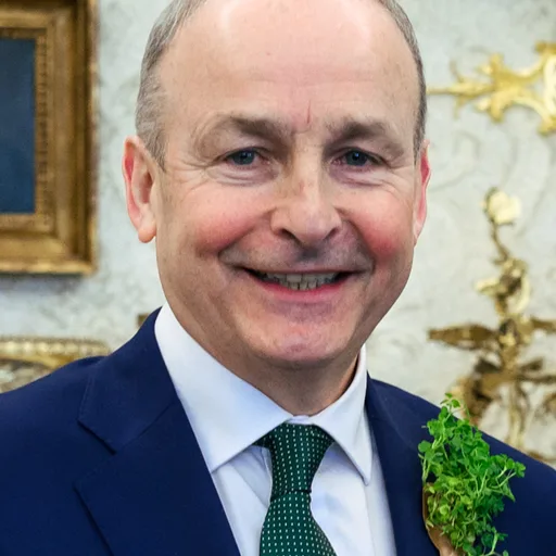 Photo de profil de Micheál Martin