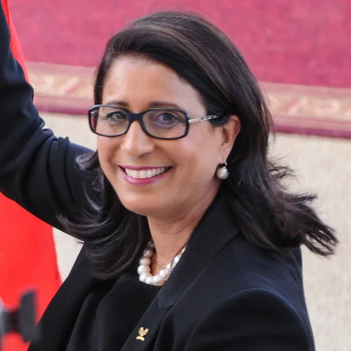 Photo de profil de Nawal El Moutawakel