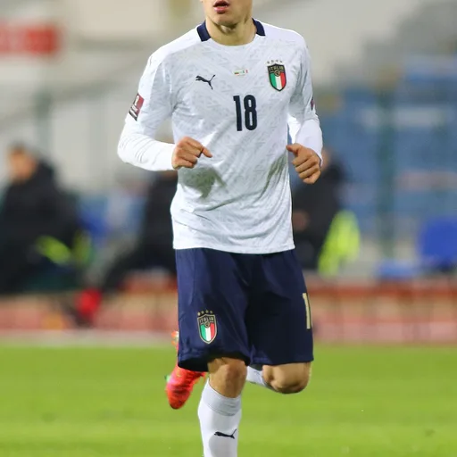 Photo de profil de Nicolò Barella