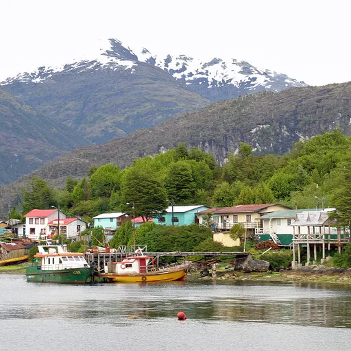 Photo de profil de Patagonia