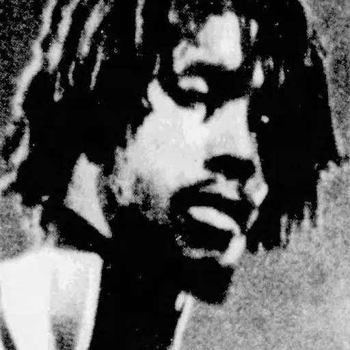 Photo de profil de Peter Tosh
