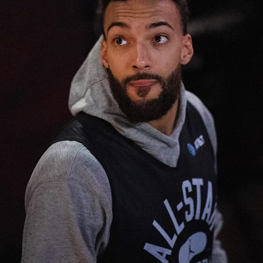 Photo de profil de Rudy Gobert